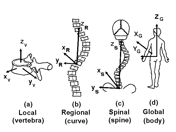 Axis system, etc.