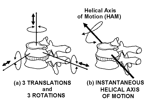 Displacement and Deformation