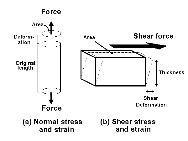 Displacement and Deformation